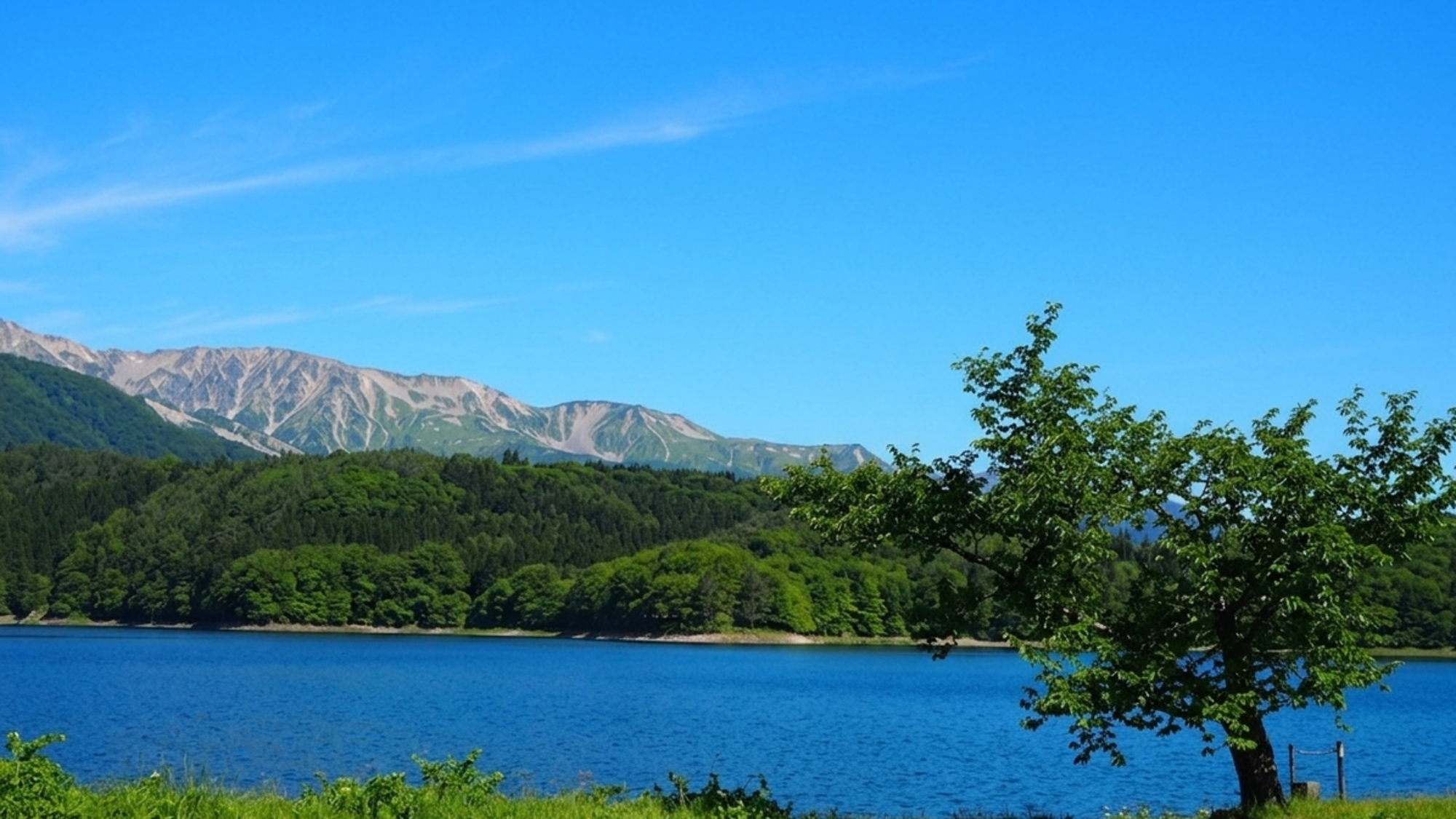 ■周辺の観光地／青木湖（夏）