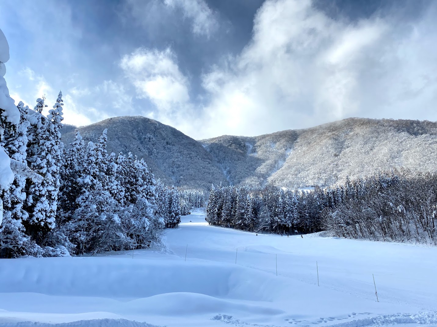 ●目の前はパウダースノーのゲレンデ