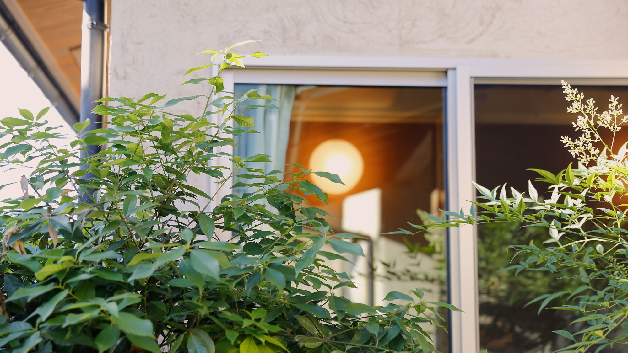 離れ和室【瑠璃】（6畳＋4.5畳）