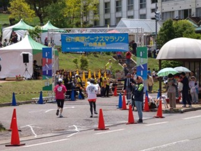 谷川まりビーナスマラソン