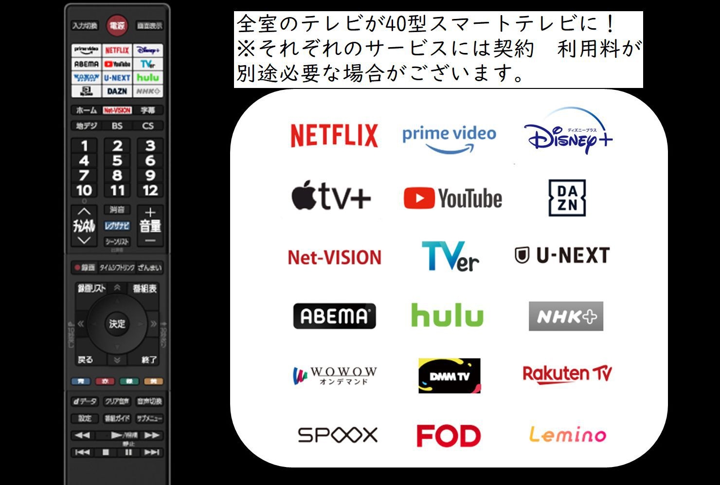 ※※3月 22日　23日　2日間の緊急発売　素泊まりプラン　１６時イン　返金不可　