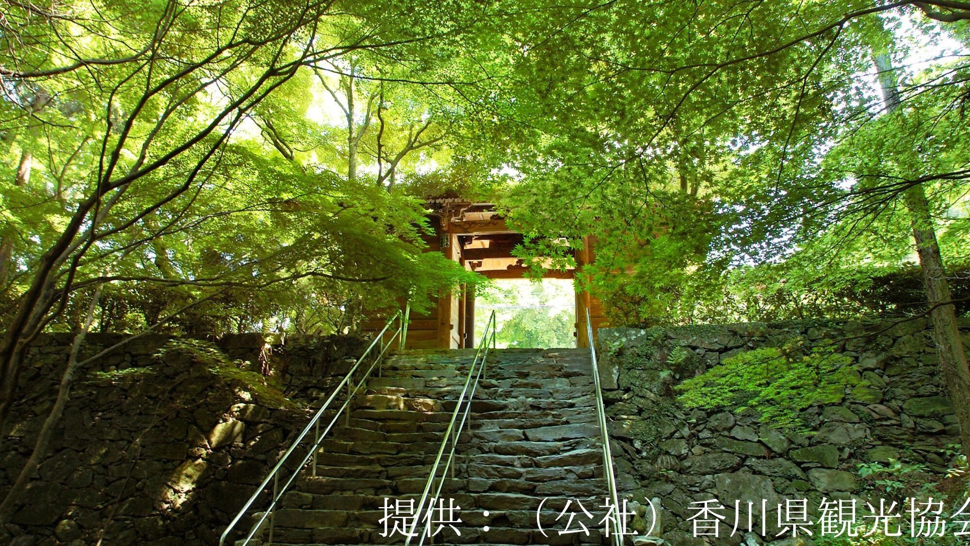 【観光画像】根香寺