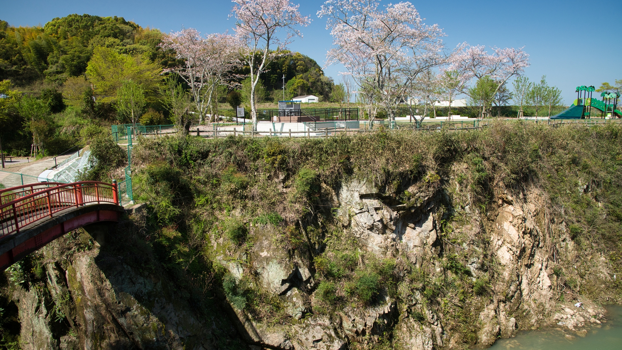 【当館から車で12分】桜の名所として知られる広々とした公園「大井関公園」