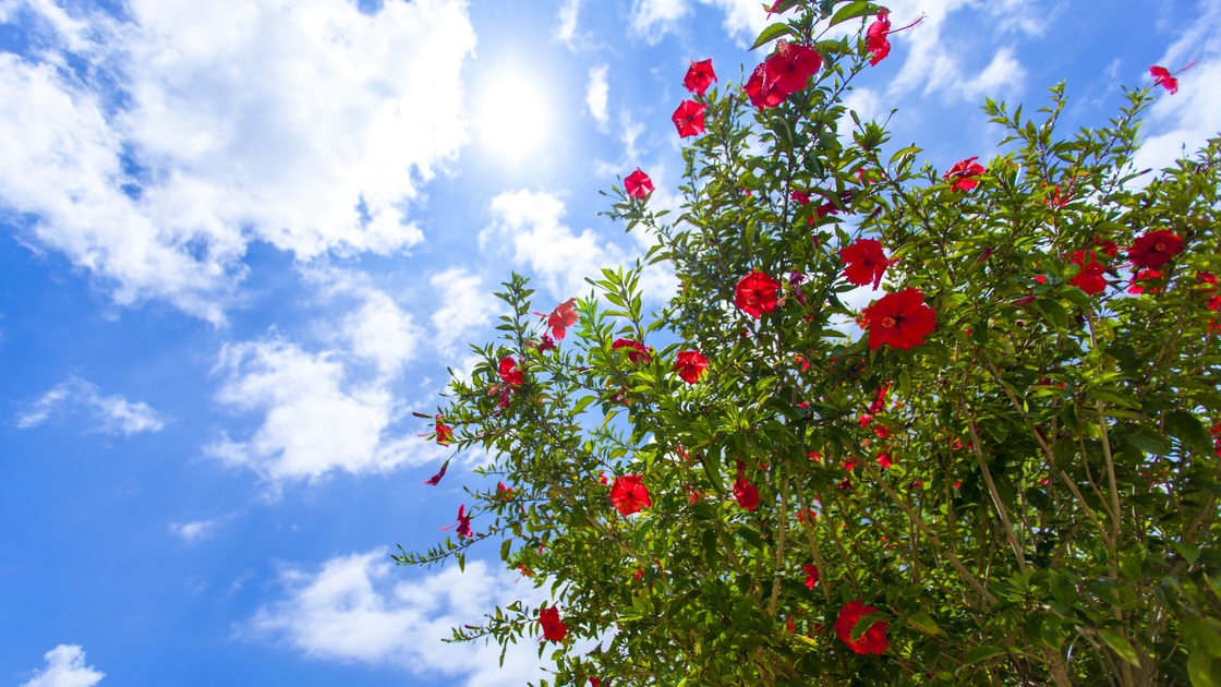 【当日予約可能】急な予定に！ビーチ・繁華街まで車で5分！アクセス良好な『しおんの海』へめんそーれ