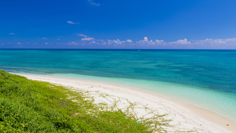 【早期予約30】早めのご予約がお得♪自然が彩る平屋1階のお部屋（素泊り）