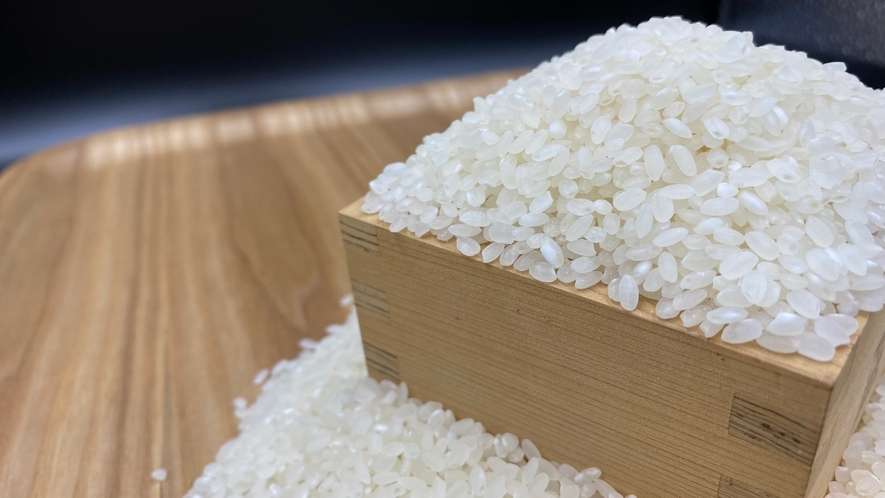【朝食】兵庫県産のお米を使用