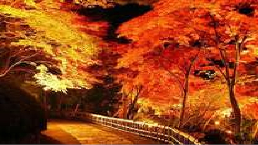 【秋】虹の郷の「紅葉」