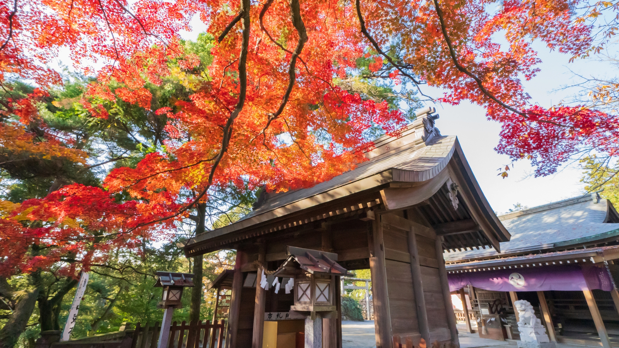 【唐澤山神社】当館から車で約15分
