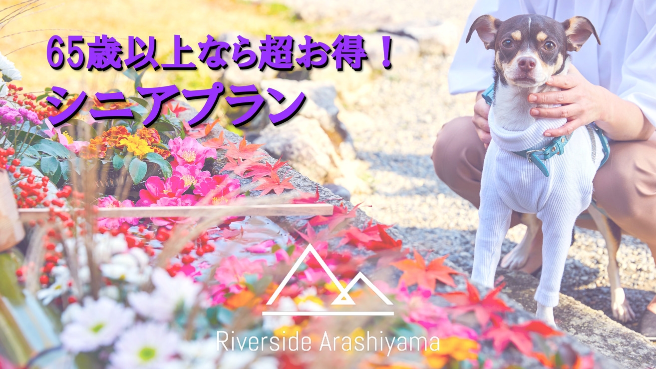 【65歳以上ならシニア割】愛犬と旅する嵐山をお得に♪（ペット同伴ルーム）
