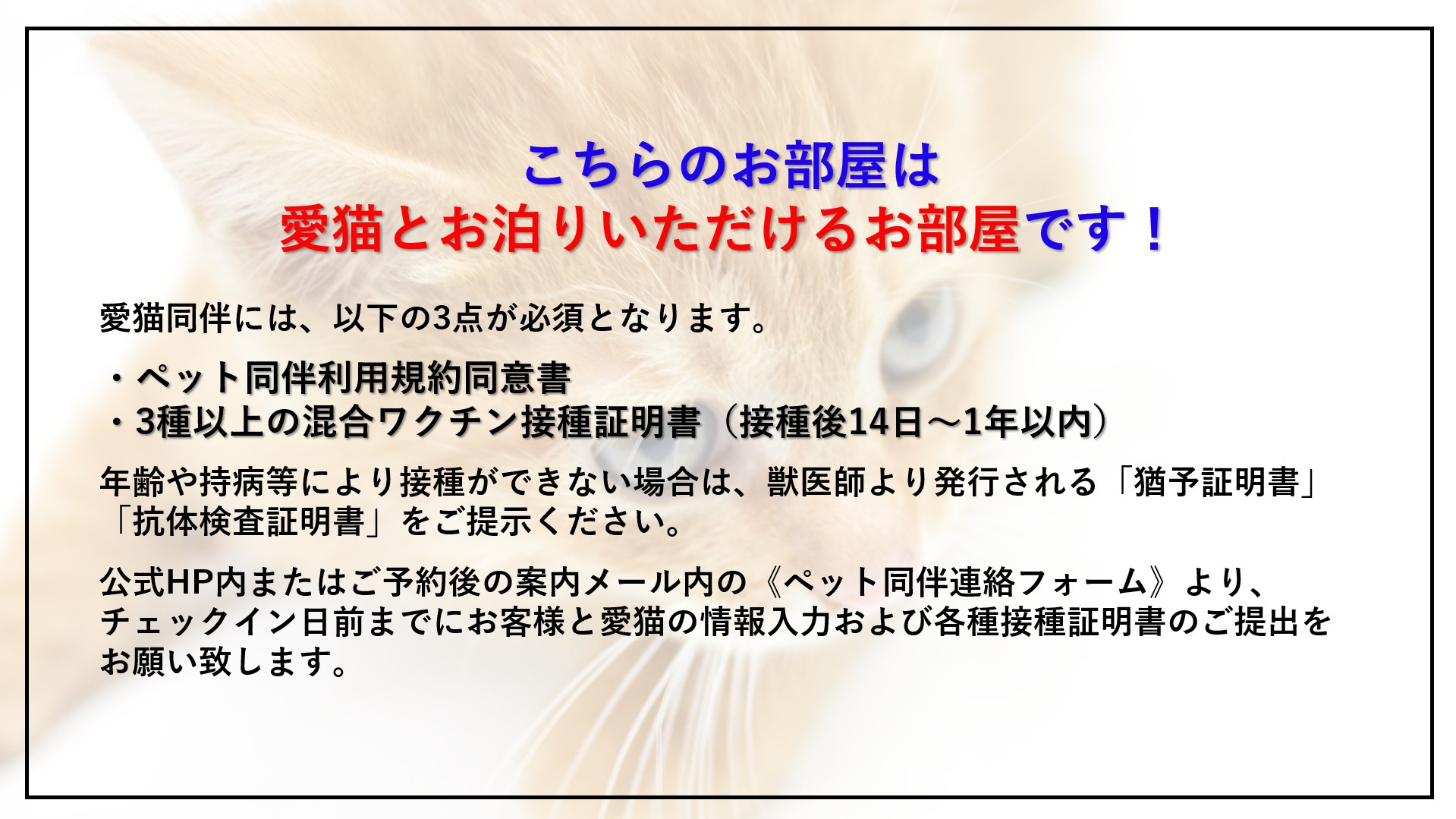 【スタンダードプラン】ネコちゃんと旅する嵐山♪（ペット同伴ルーム）