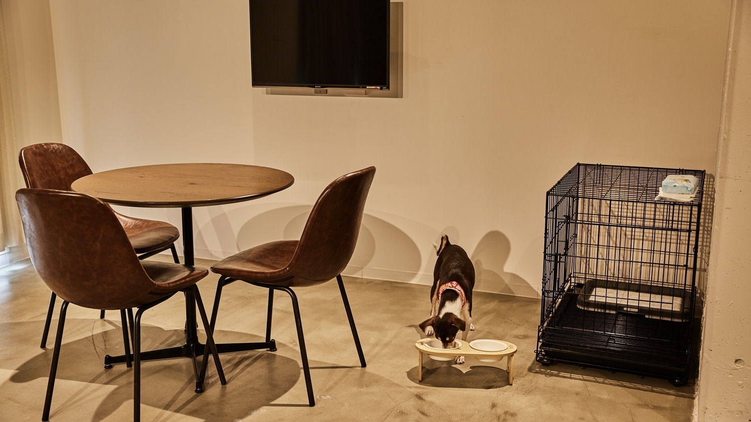 【ペットと泊まれる!】トリプルルーム36平米(禁煙)