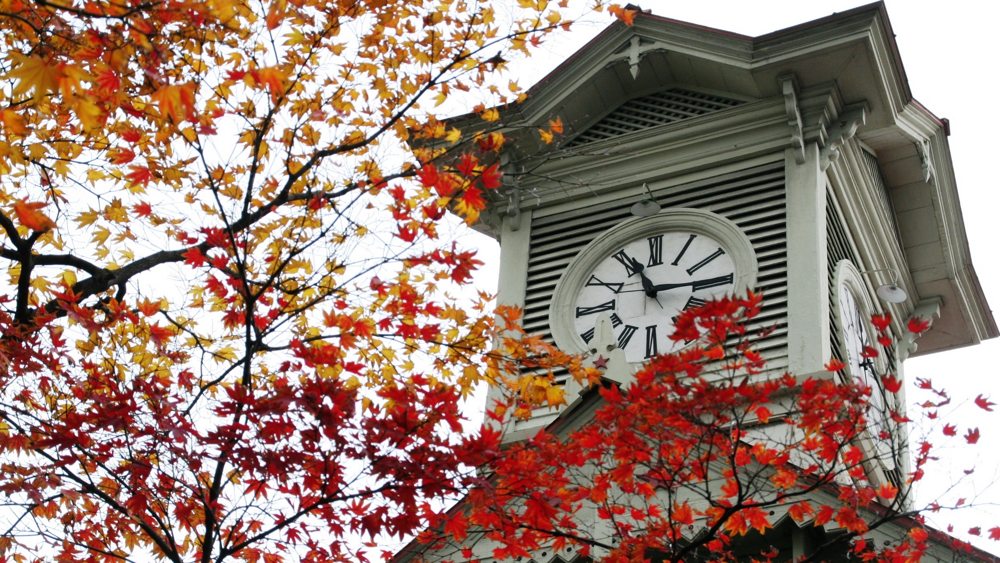 札幌市時計台／色づく木々と白い外壁が映える秋