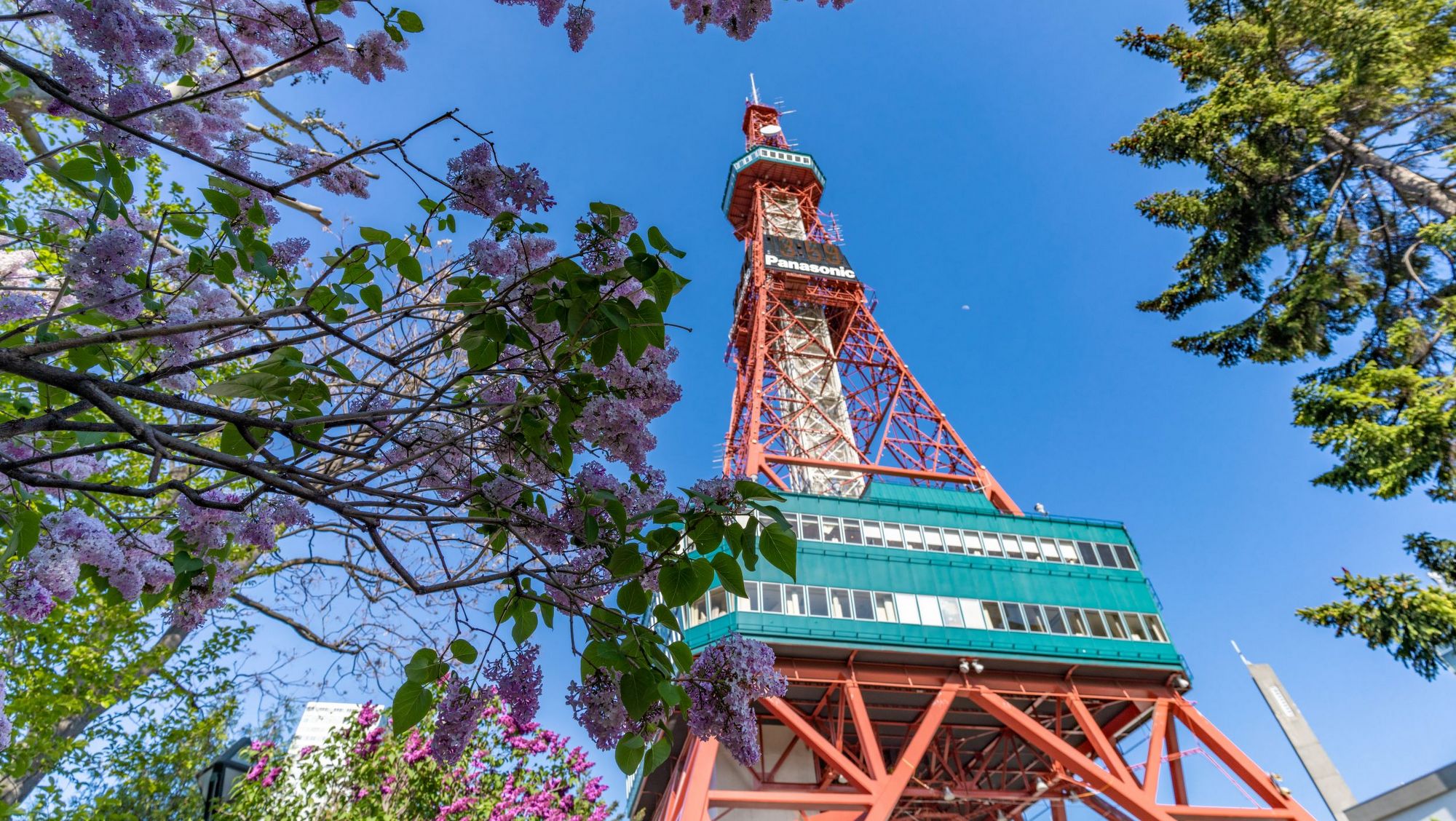 テレビ塔／札幌のシンボルと甘い香りに春の訪れを感じるライラック※撮影／2021.5