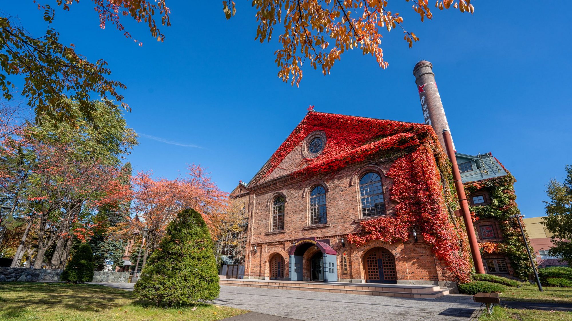 サッポロビール園／赤レンガに紅葉したツタが映えるサッポロビール博物館※撮影／2022.11