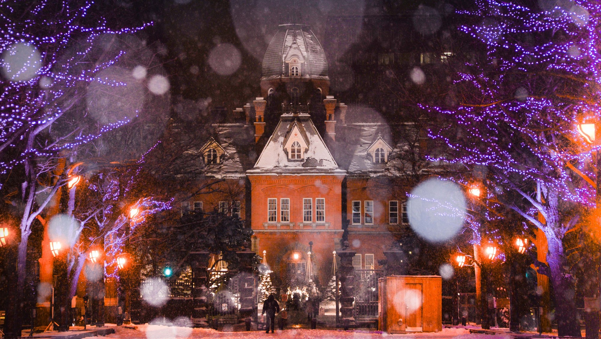 北海道庁旧本庁舎（赤レンガ）／北3条広場からイルミネーション越しに見る冬の赤レンガが幻想的