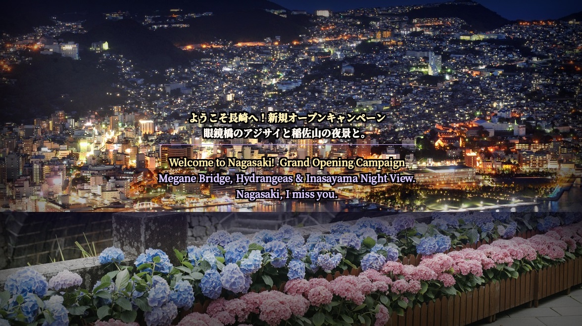 アジサイと夜景