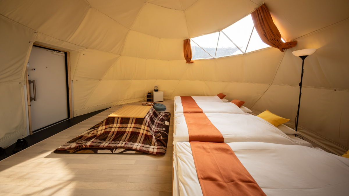 2024年12月リニューアル｜ステラ　室内