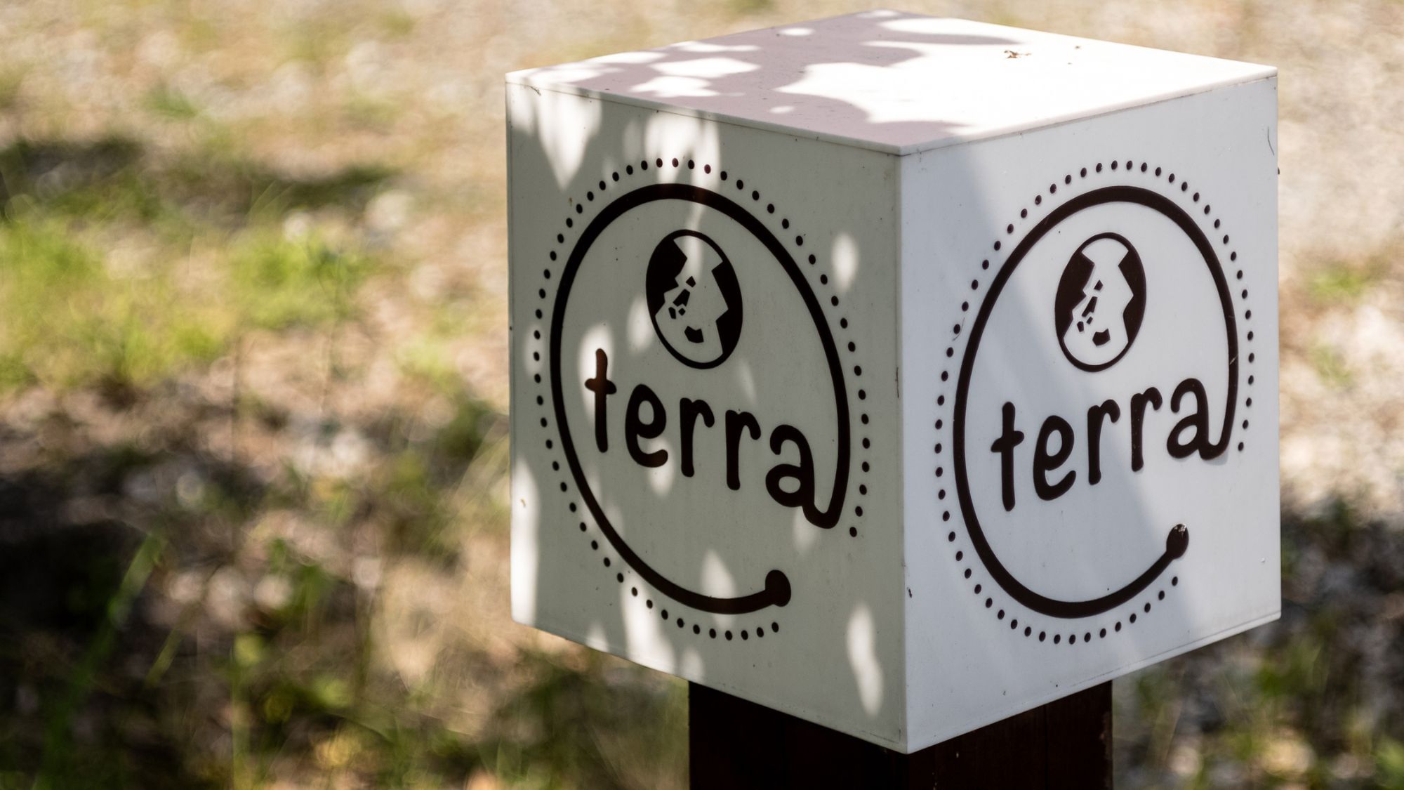 【夏】Terra_外観④