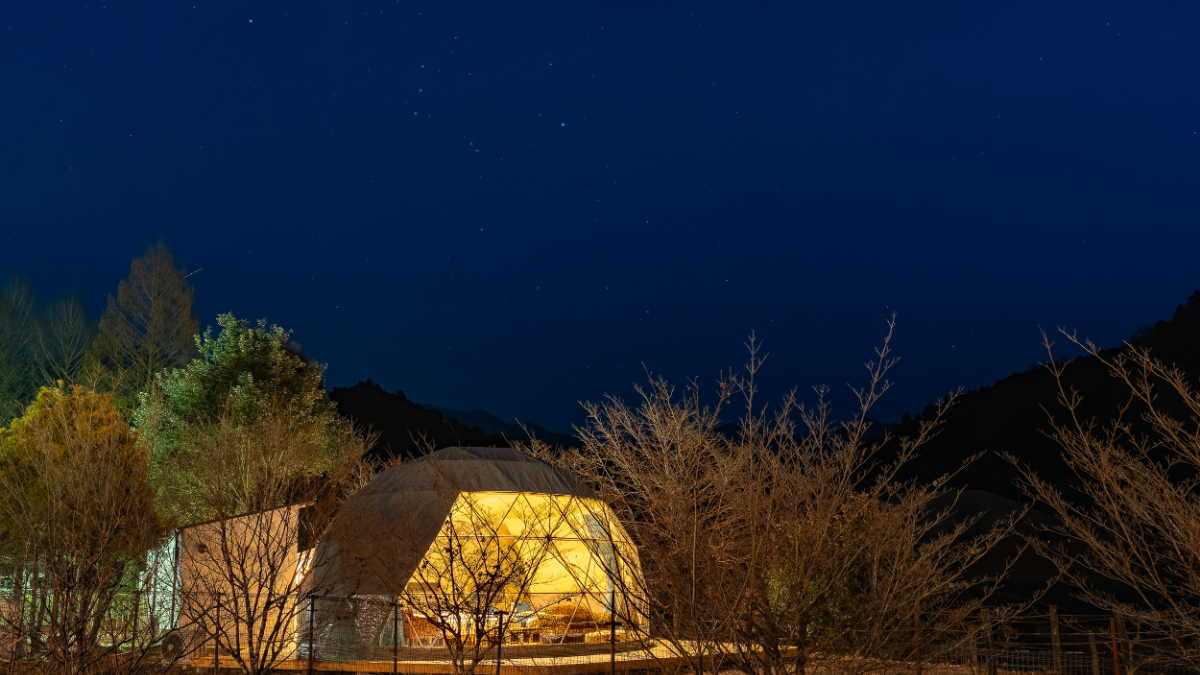 2024年12月リニューアル｜