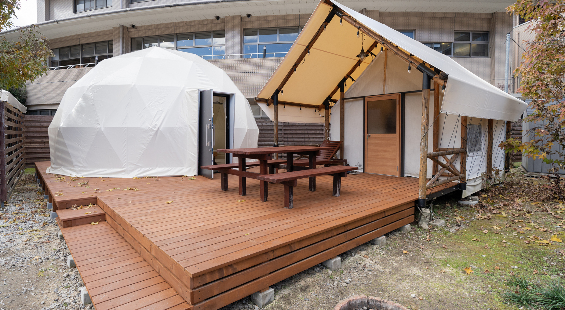 2024年12月リニューアル｜ステラ