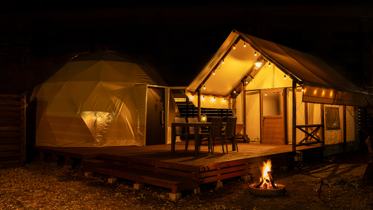 2024年12月リニューアル｜ステラ　室内