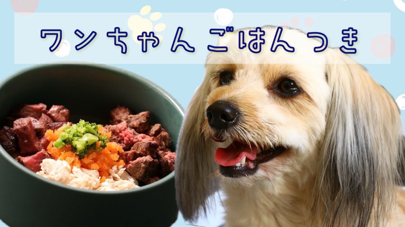 【ワンちゃんごはん付き】素材にこだわったボリューム満点創作料理-2食付-