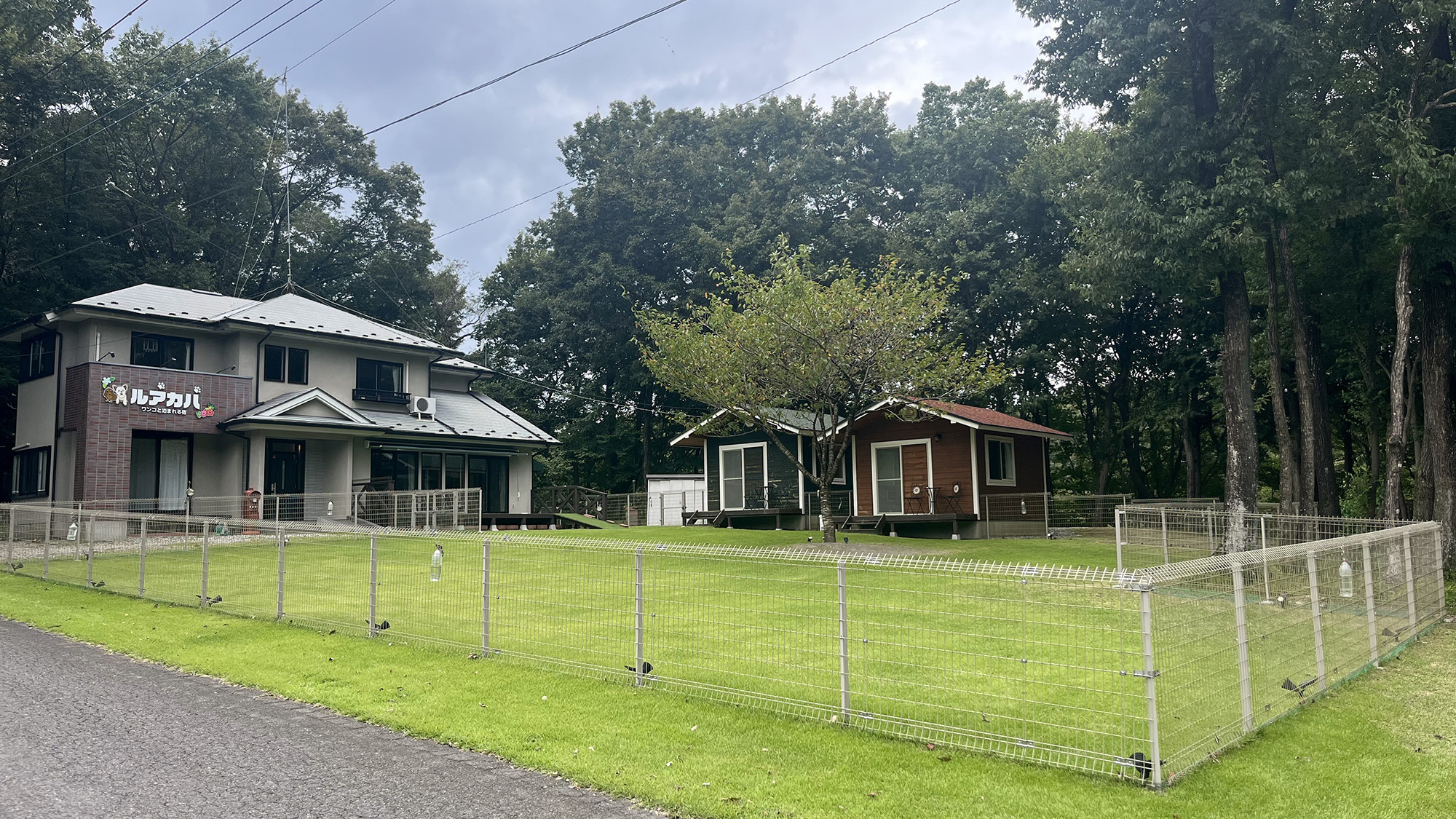 のびのびと駆け回る姿を眺めながら、ゆったりと那須の自然を満喫できます。