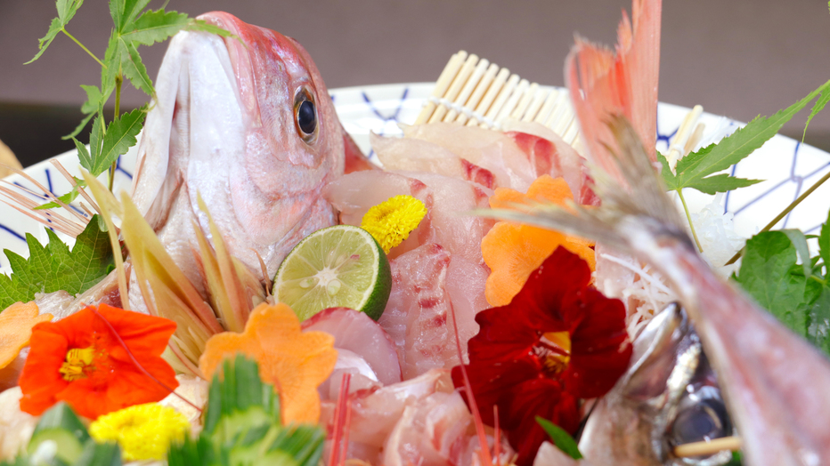 旬の魚の造り皿盛り付♪地元の料理に大満足！新鮮な食材を堪能しよう【1泊2食付き】