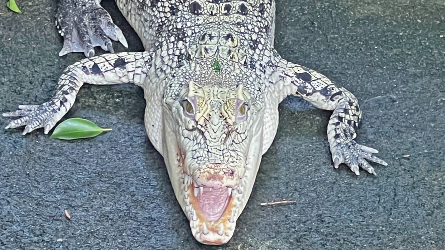 【温泉で初日の出！】年末年始限定！のんびり・ゆったり・まったりの滞在！素泊まり！