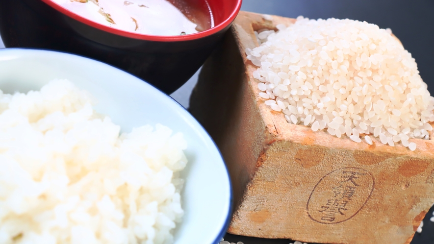 【ご飯】自家製の木島米です
