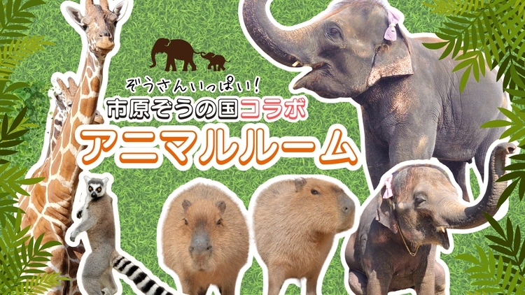 【期間限定◆グランピング】ぞうの国コラボ アニマルルームプラン《1泊2食付き》