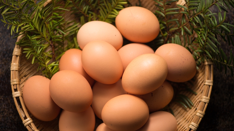 ■さき楽14×朝食付■＜最大２５％OFF＞産地直送の卵を好きなだけ！＜TKG食べ放題＞朝食♪