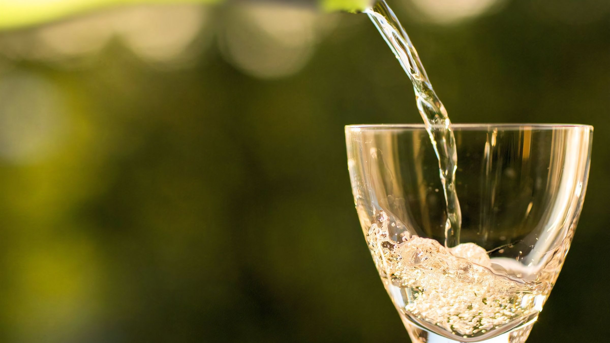 【冬のグルメ旅】ワイン酵母仕込みの「五稜」数量限定酒＆オリジナル菓子「松のみどり」土産付＜2食付＞