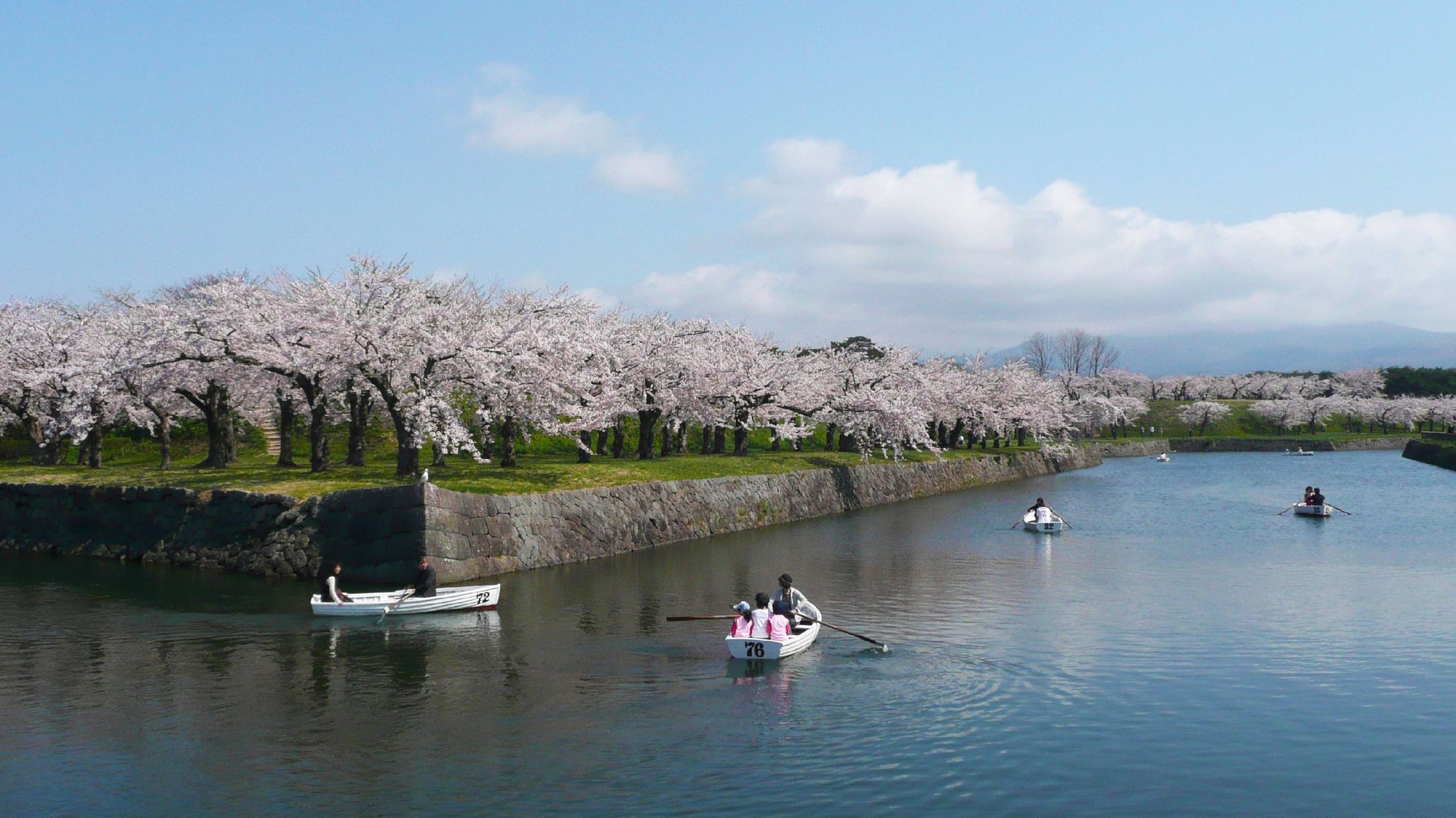【期間限定  桜開花は4月下旬】春のおもてなし♪お花見を愉しむ2大特典付き特別プラン＜2食付＞