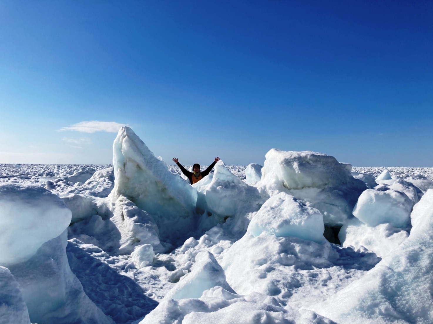 【西館（新館）指定】名湯川湯温泉に泊まって流氷観光と和洋中ビュッフェ【夕朝食・フリードリンク付】