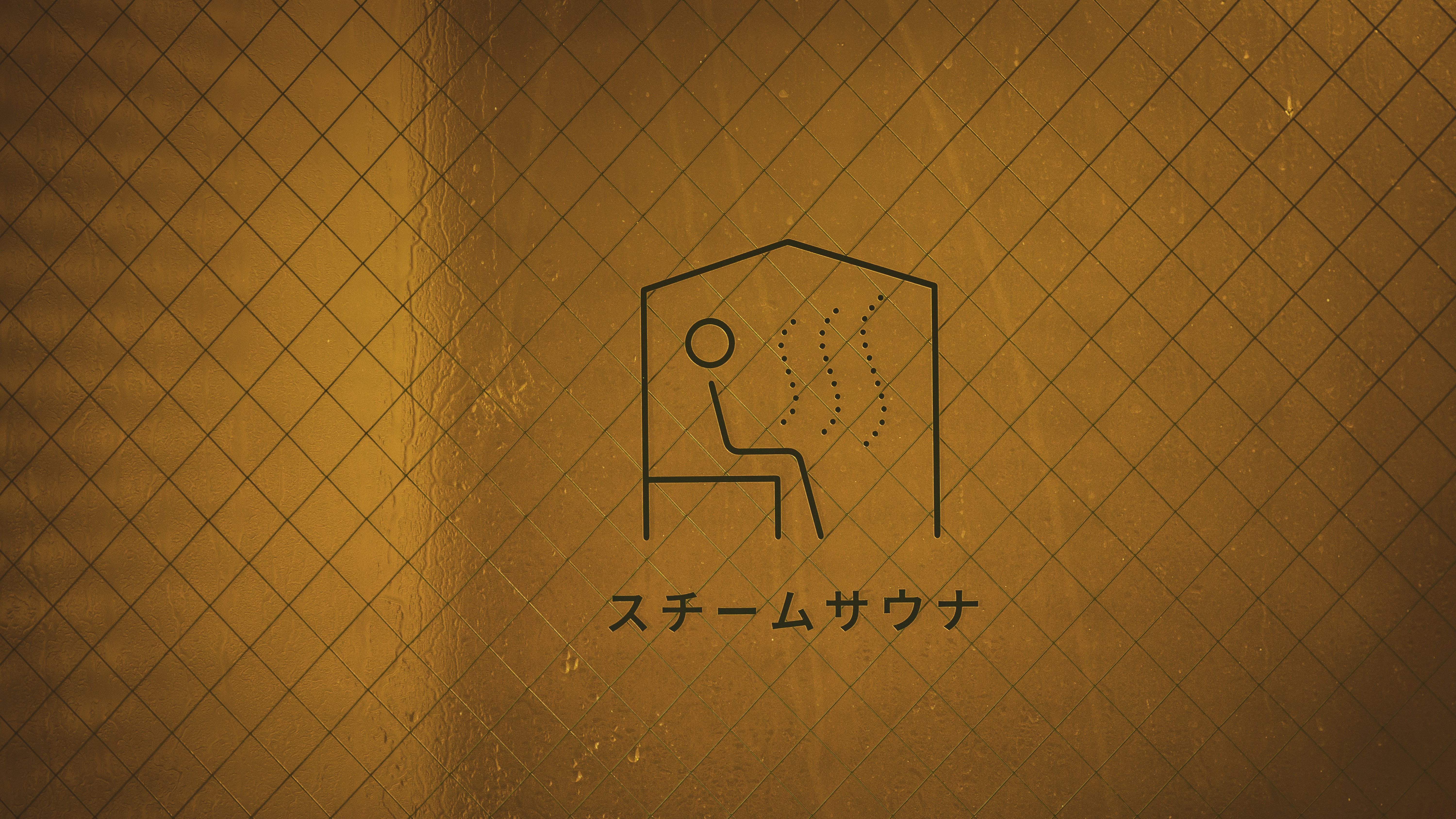 スチームサウナ