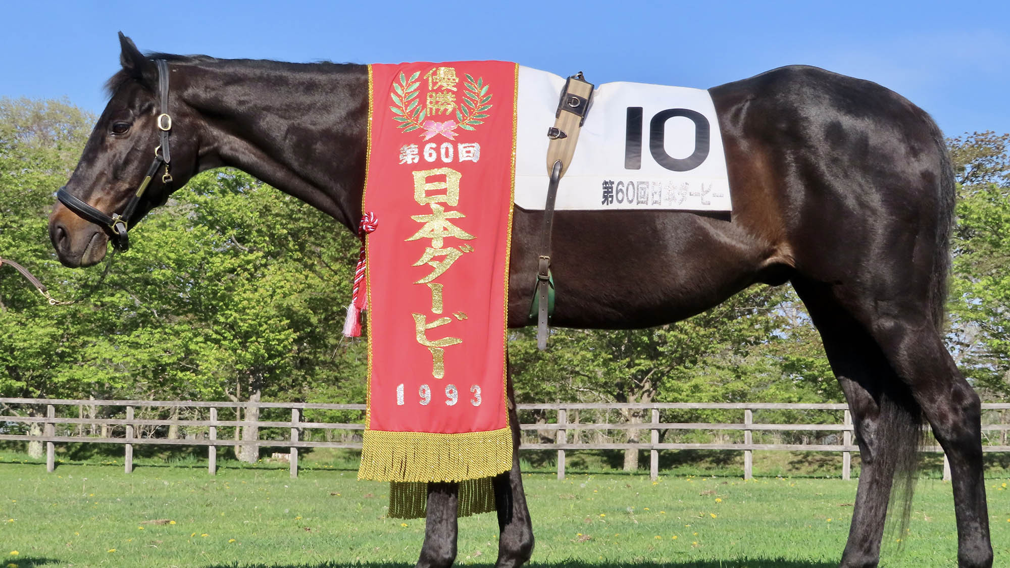 【ウイニングチケット記念品付】ここでしか手に入らないグッズをゲット！（2食付）