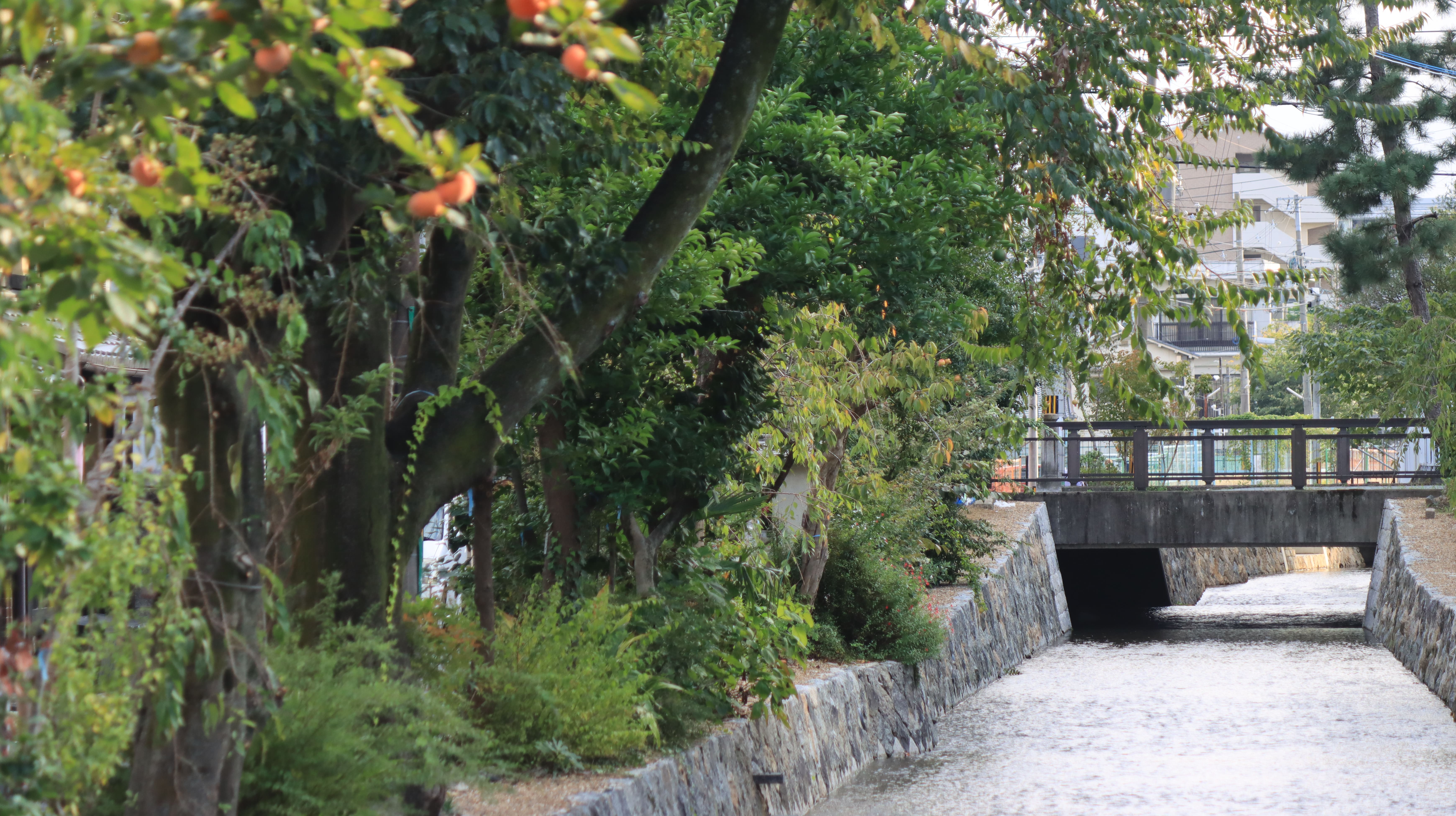 高瀬川　七條橋