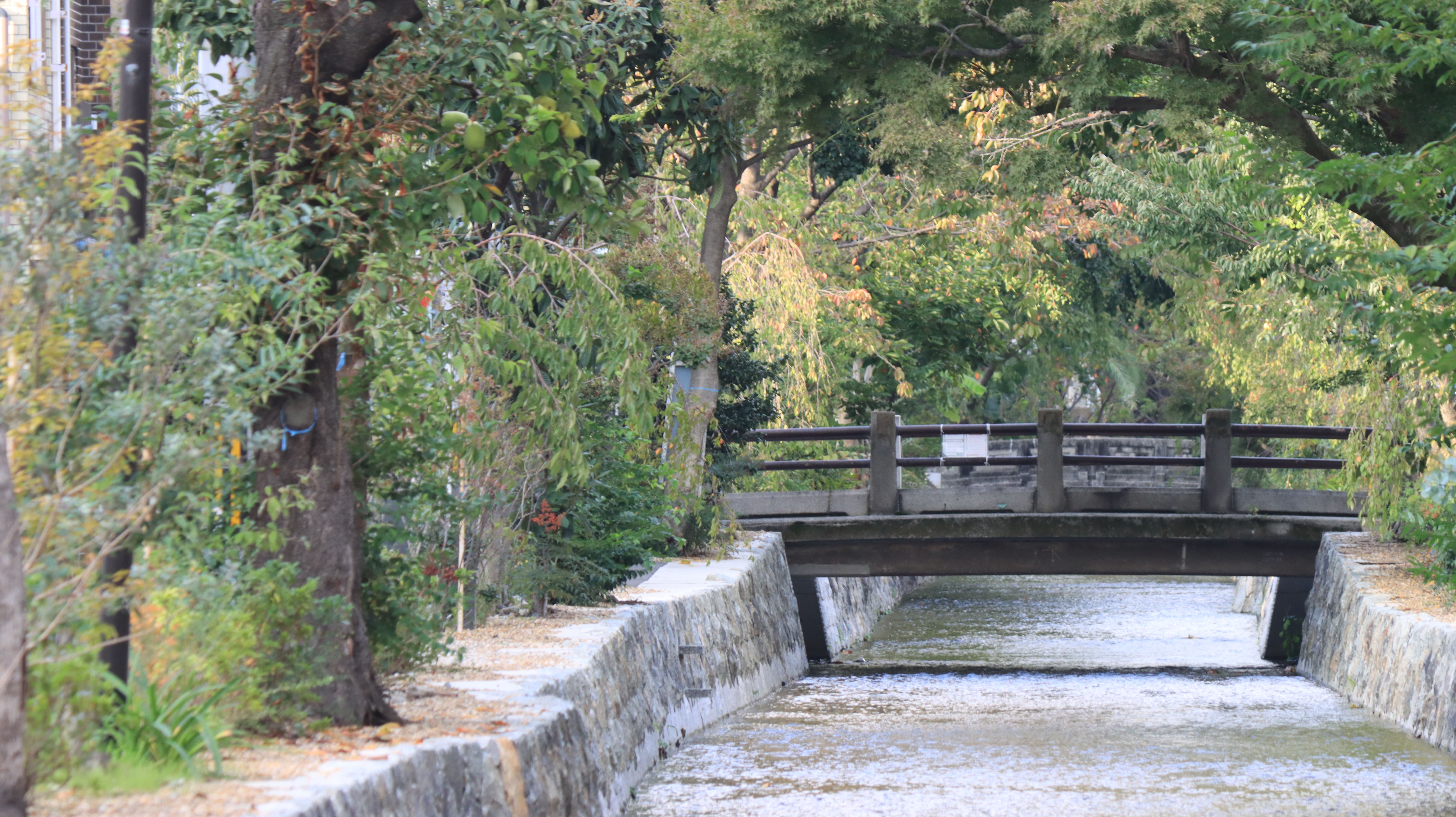 高瀬川　正面橋