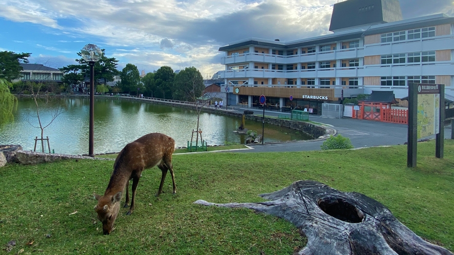 鹿と天平ホテル