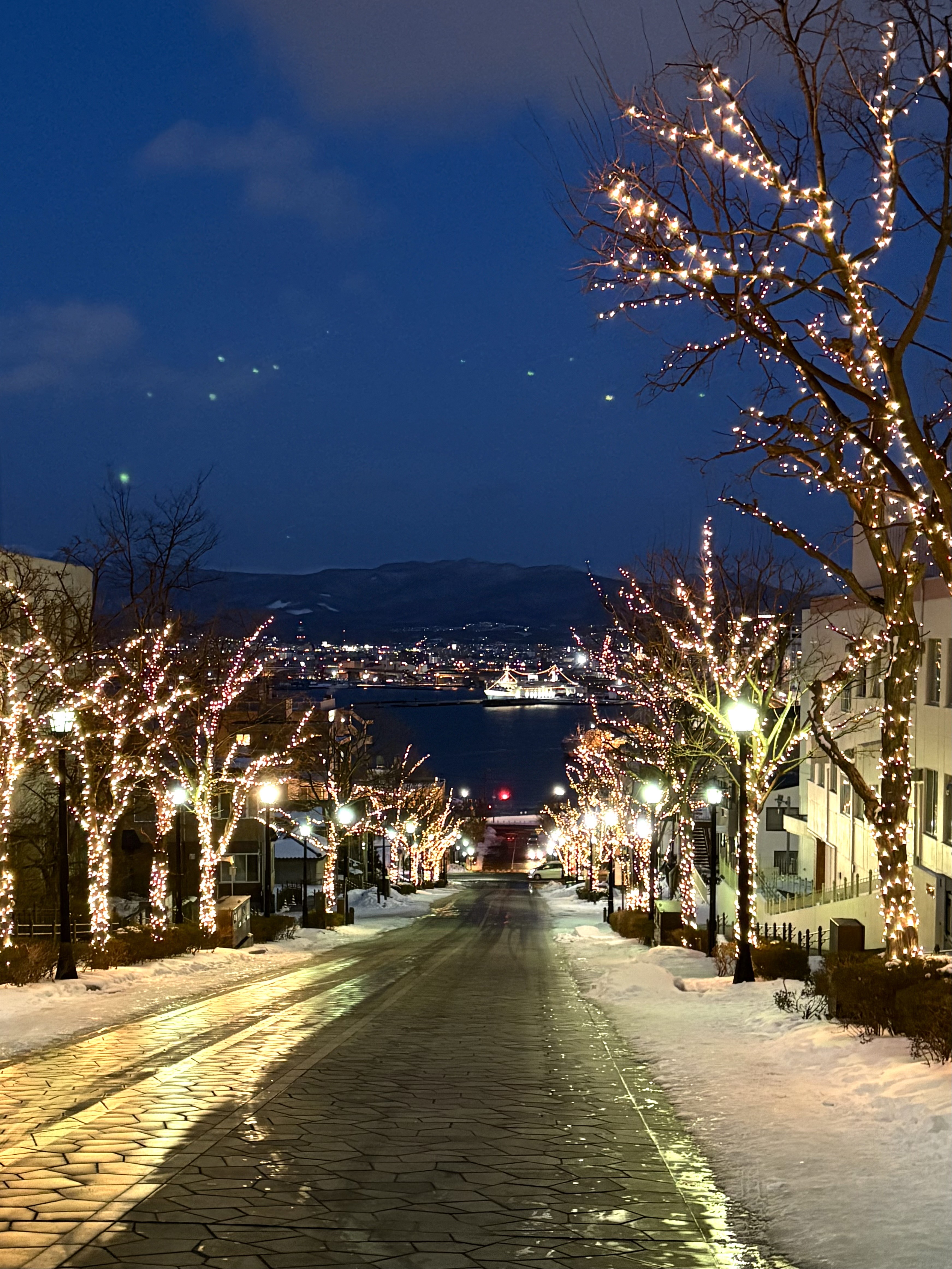 八幡坂ライトアップイルミネーション