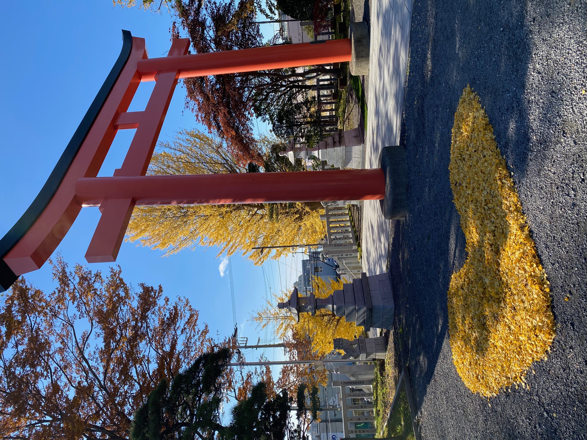 湯倉神社に珍しい銀杏のハート