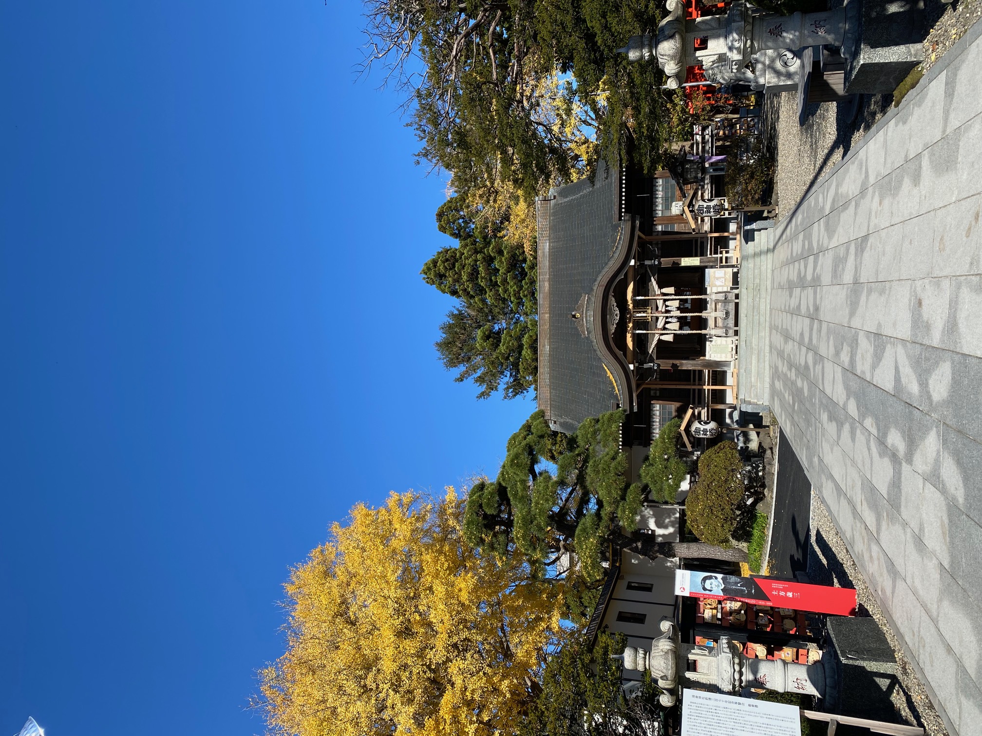 湯倉神社神社秋の銀杏