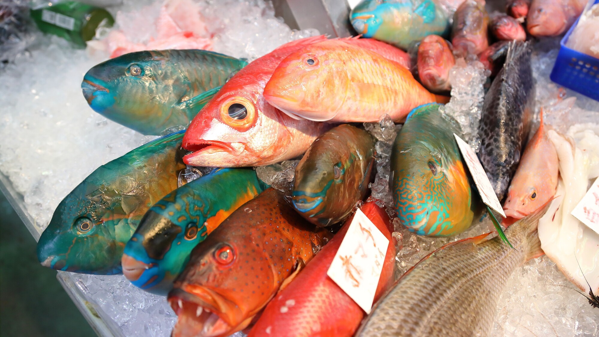 市場へ食料調達（徒歩3分）