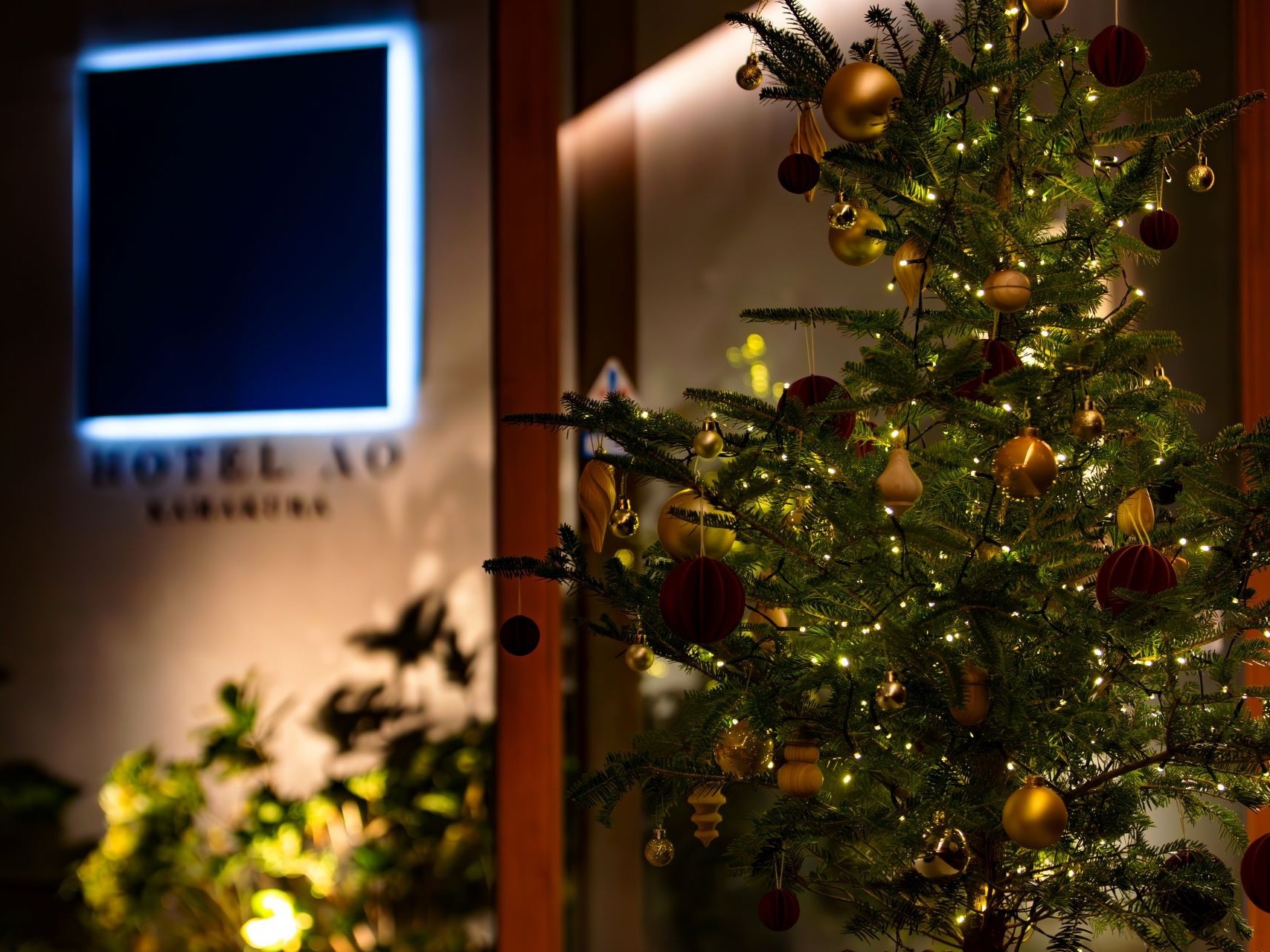 【12/20・21・24・25限定】クリスマスイタリアンディナーコース〜夕朝食付き〜