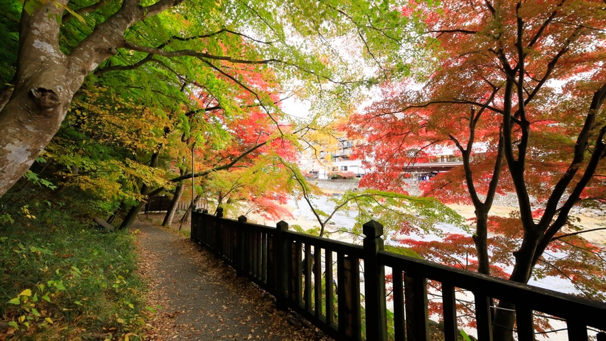【那須塩原の紅葉】見頃は10月下旬～11月中旬です