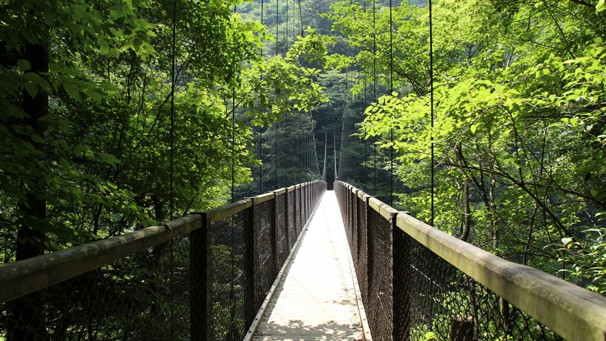 【もみじ谷大吊橋／車で約15分】国内最長クラスの吊り橋で空中散歩を楽しめます