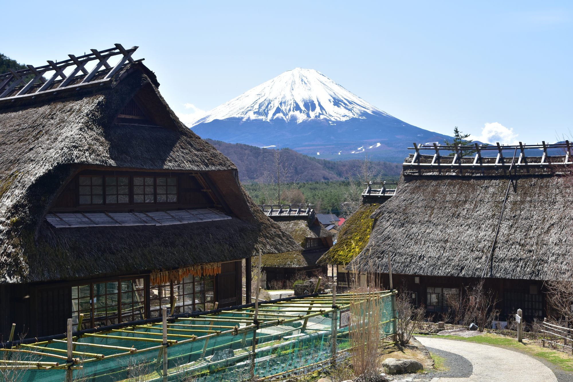 西湖いやしの里根場