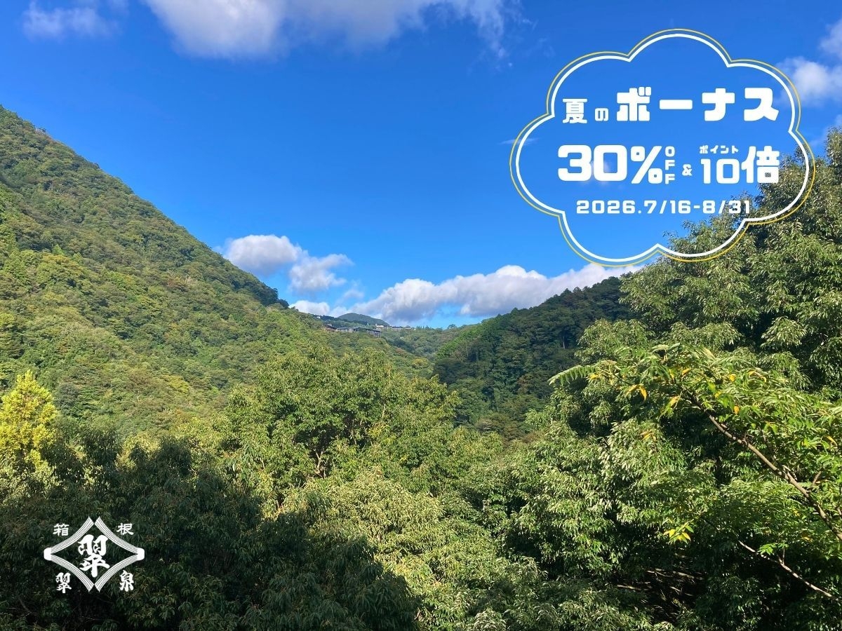 【30％OFF＆ポイント10倍】夏を満喫！■サマーボーナスプラン■（素泊まり）