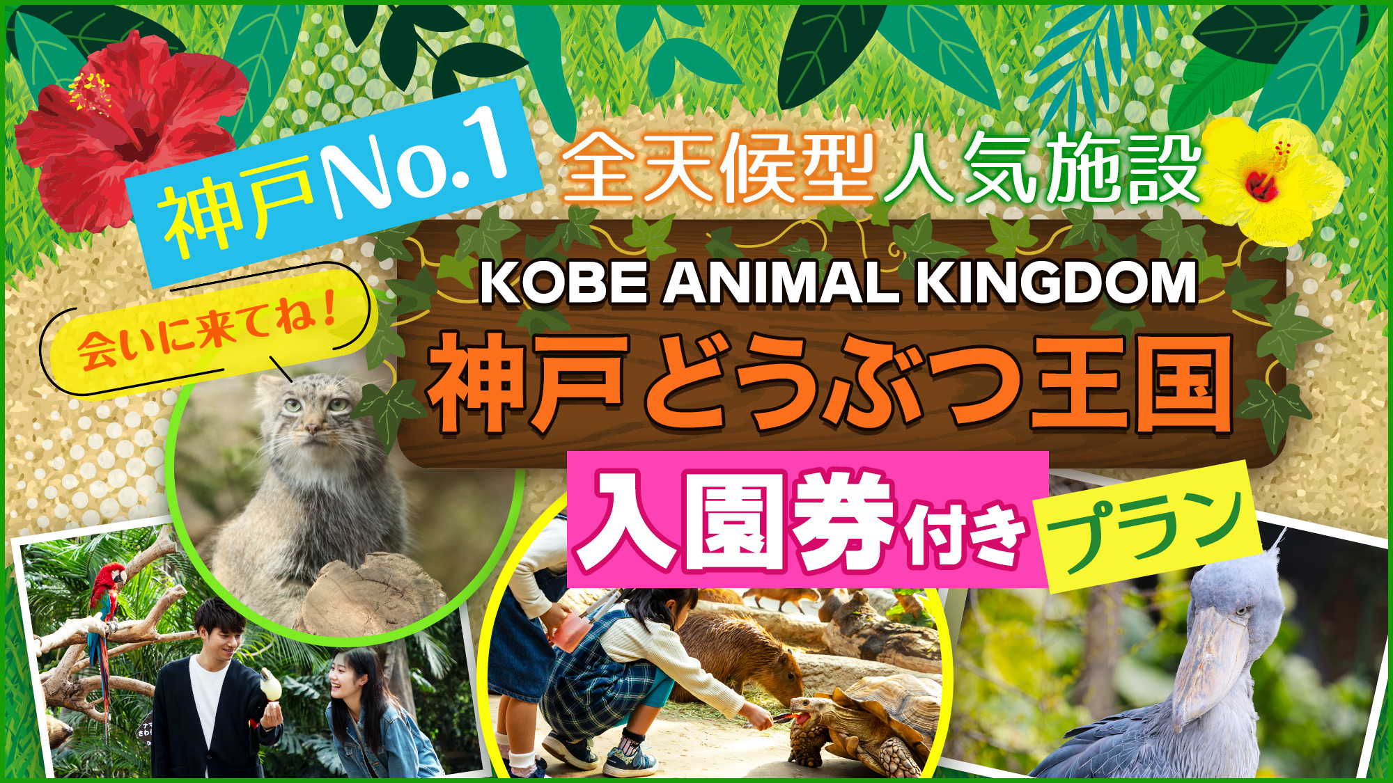 神戸どうぶつ王国入園券付きプラン
